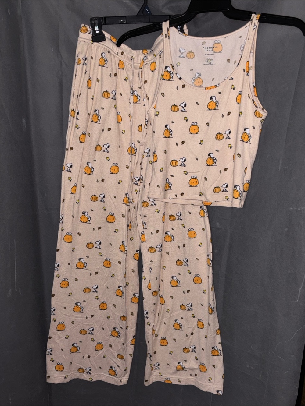 2025 American Eagle AE Lounge Snoopy Pumpkin Pajama Set Medium